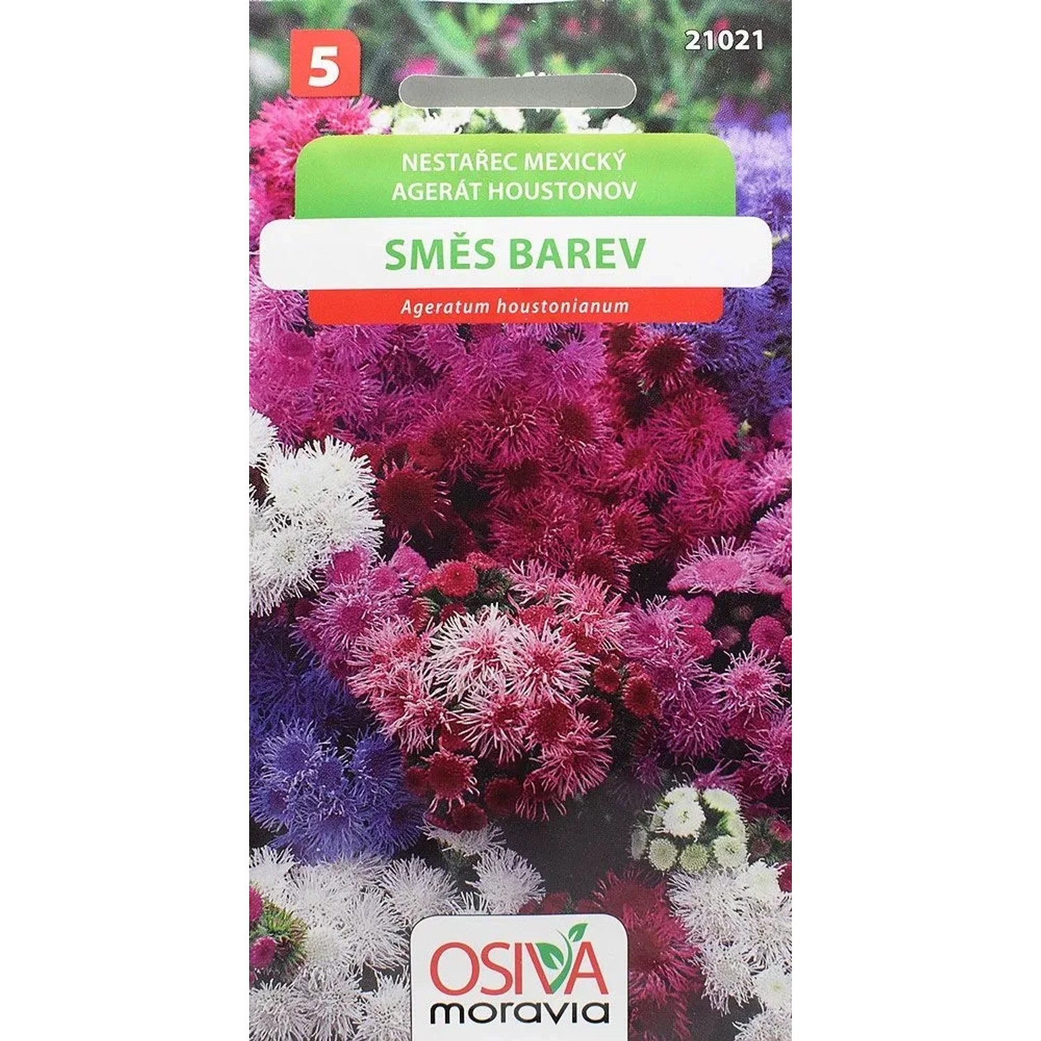 Semínka Nestařec Mexický - směs (Ageratum mexicanum)