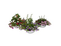 Letní květinové aranžmá v zinkovém květináči, pr. kv. cca 29 cm