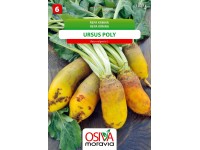 Semínka Řepa krmná Ursus Poly (Beta vulgaris L.)