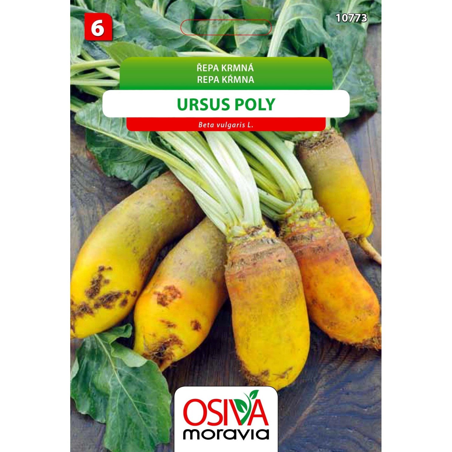 Semínka Řepa krmná Ursus Poly (Beta vulgaris L.)