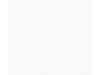 A. S. Creation Přetíratelná vliesová tapeta Meistervlies Creativ bílá 953451