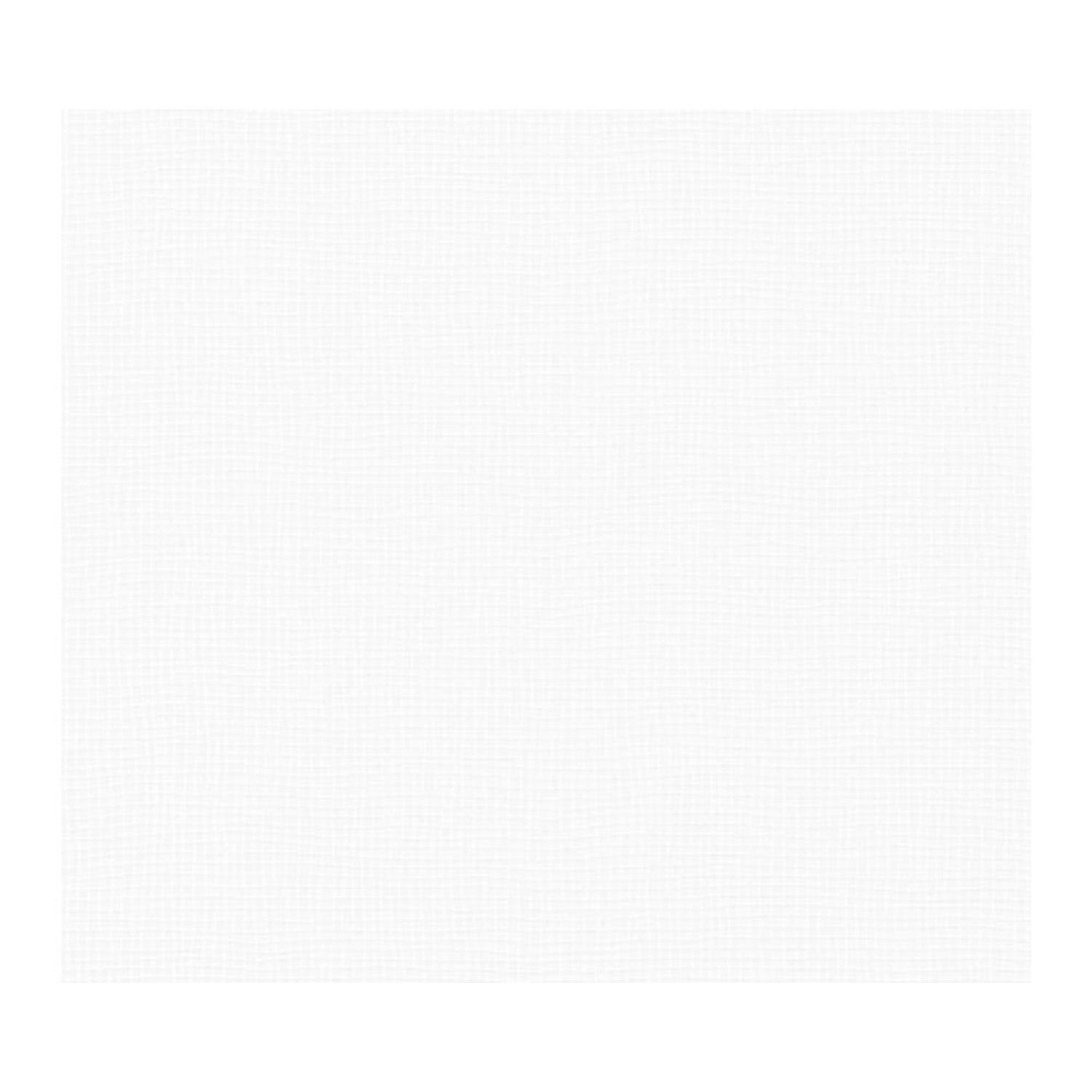 A. S. Creation Přetíratelná vliesová tapeta Meistervlies Creativ bílá 953451