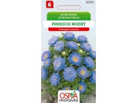 Semínka Astra čínská Pinnocio modrý (Callistephus chinensis)