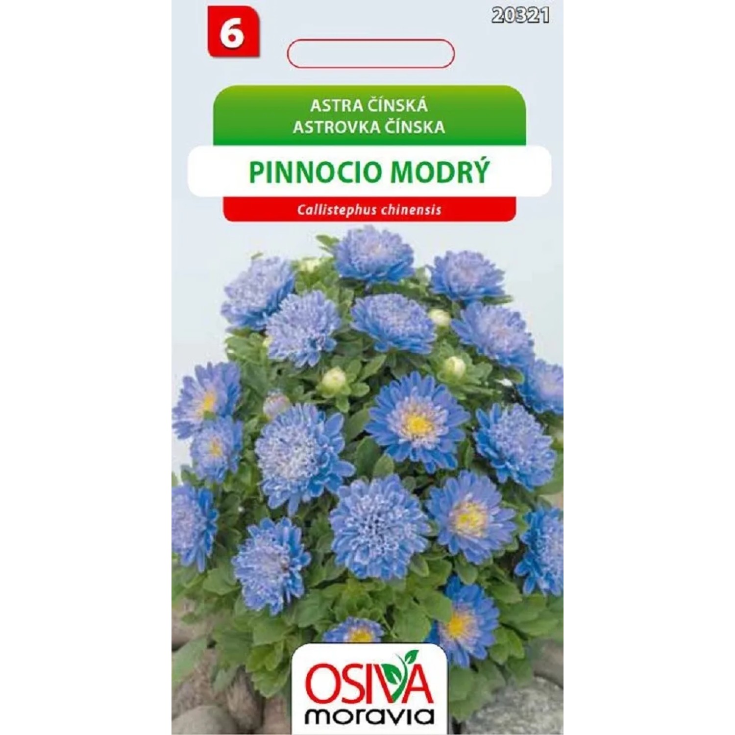 Semínka Astra čínská Pinnocio modrý (Callistephus chinensis)
