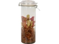 Špirlice ve skleněné nádobě průměr květináče cca 13 cm