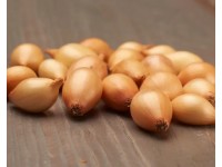 GardenSeed Premium BIO Cibule sazečka Sturon, 300 g GardenSeed Premium BIO Cibule sazečka Sturon, 300 g