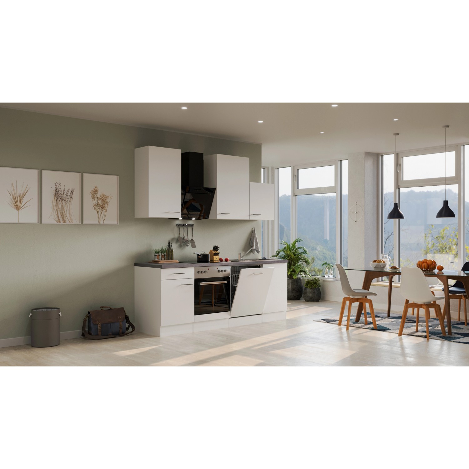 Flex-Well Kuchyně Joelina 220 cm/typ 5 - trouba/varná deska/myčka/digestoř