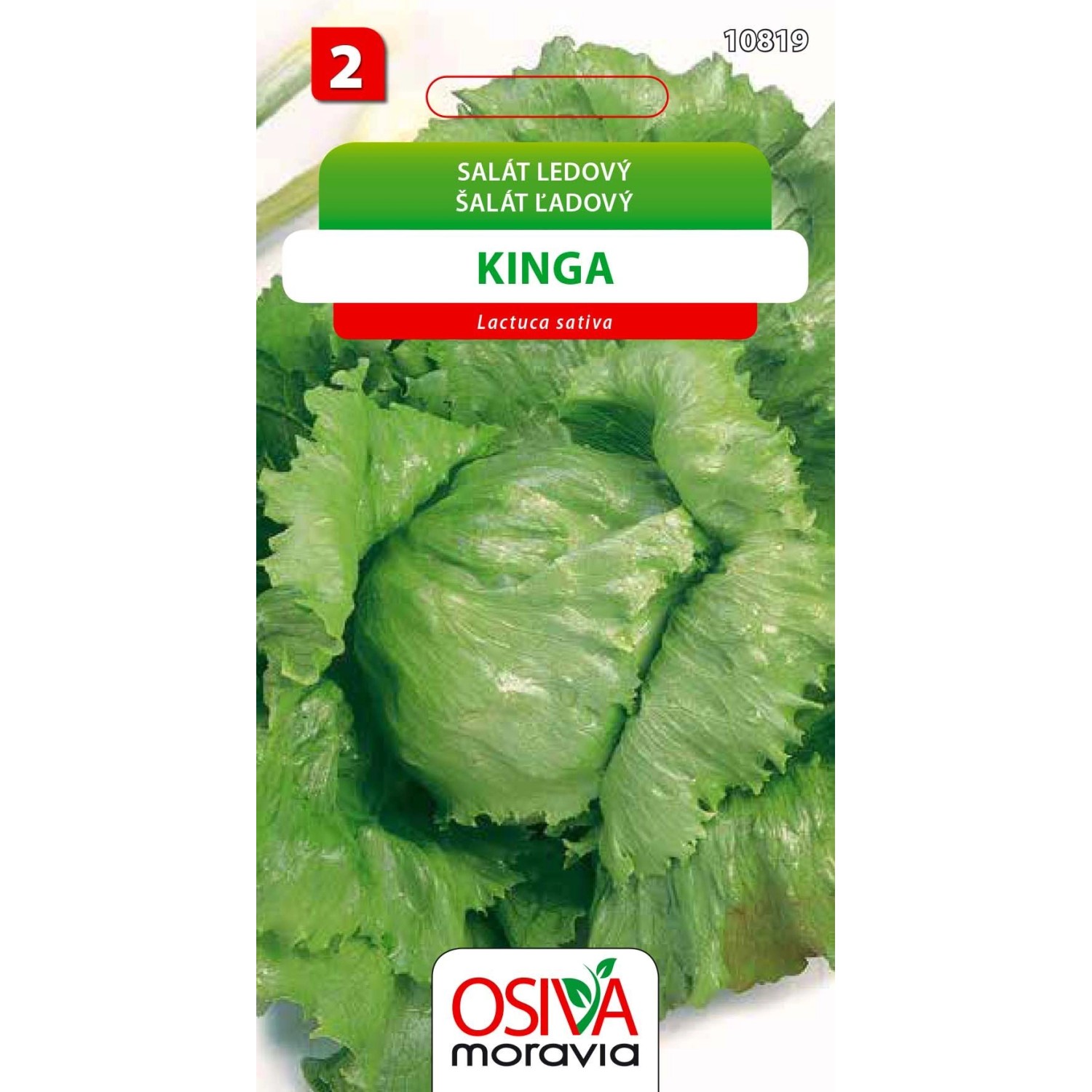 Salát Hlávkový ledový - Kinga (Lactuca sativa)