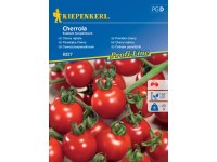 KIEPENKERL Cherry rajčata (Solanum lycopersicum) Cherrola, F1