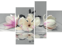 Bondecor 4dílná sada obrazů Flora 70 x 100 cm