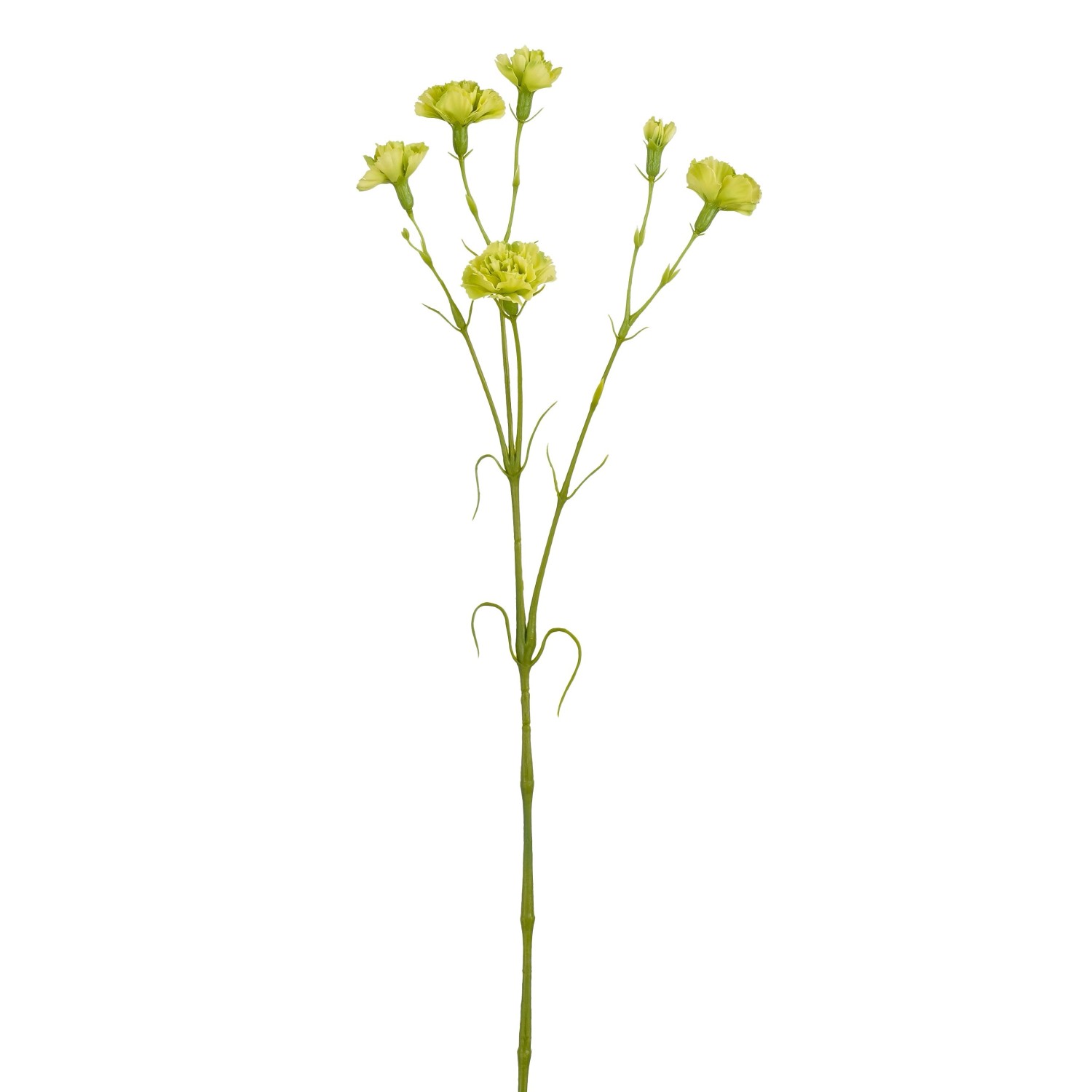 Mica Umělá květina hvozdík zelený 66 cm