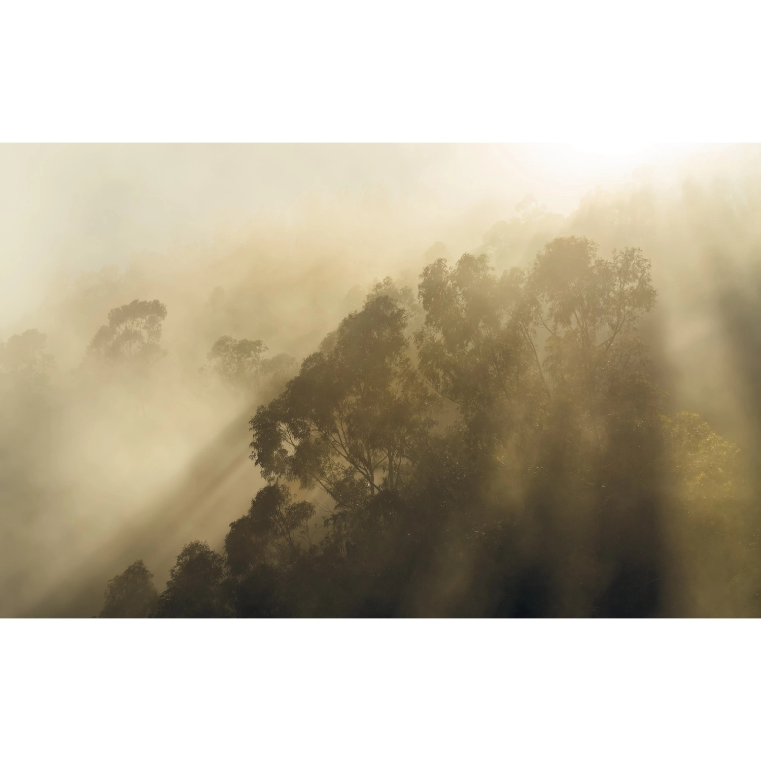 Komar Vliesová fototapeta Misty Mountain 400 x 250 cm