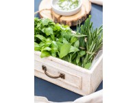 Směs bylinek v nástěnném květináči