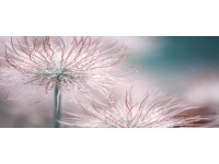 Bondecor Obraz, tištěné plátno Detail 50 x 120 cm