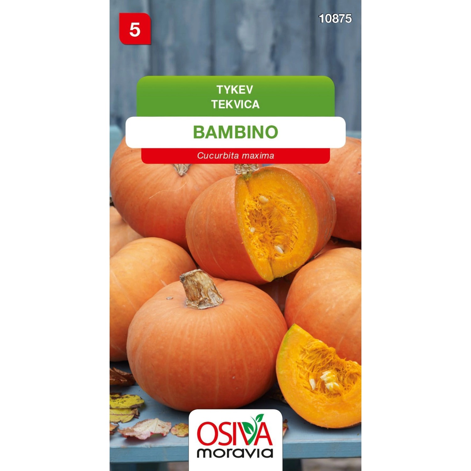 Semínka Tykev Bambino (Cucurbita maxima)