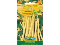 Gardenie Fazol keříčkový Sonesta