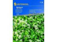 Kiepenkerl Semena Medvědí česnek