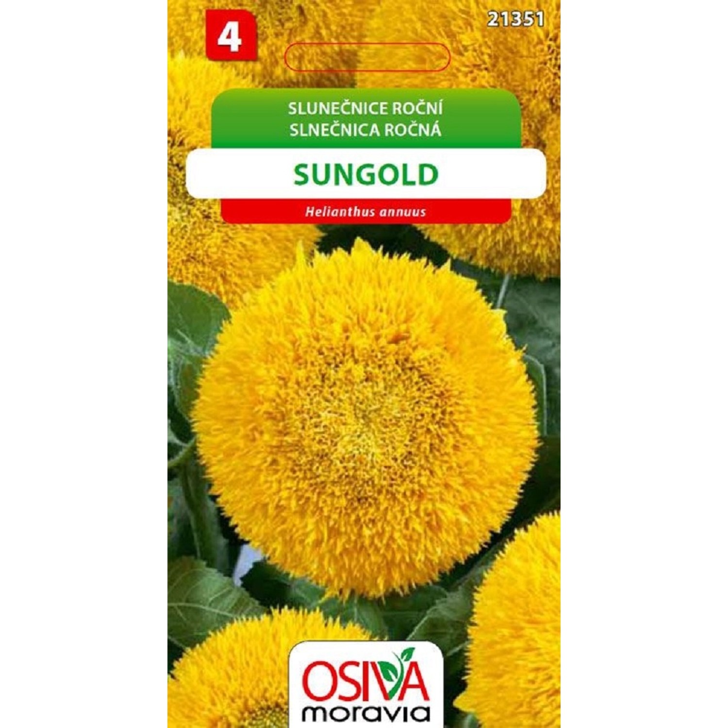 Semínka Slunečnice roční Sungold (Helianthus annuus)