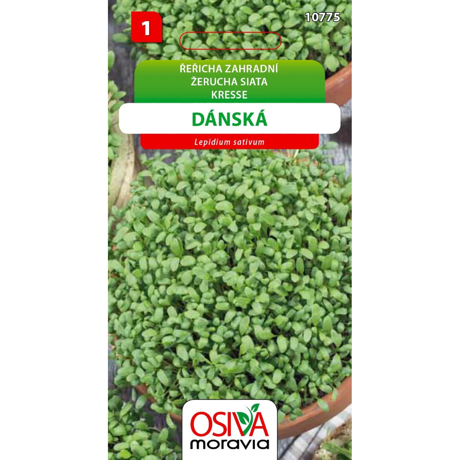 Osiva Moravia Řeřicha zahradní dánská