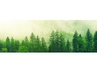 Bondecor Obraz, tištěné plátno Style 50 x 150 cm