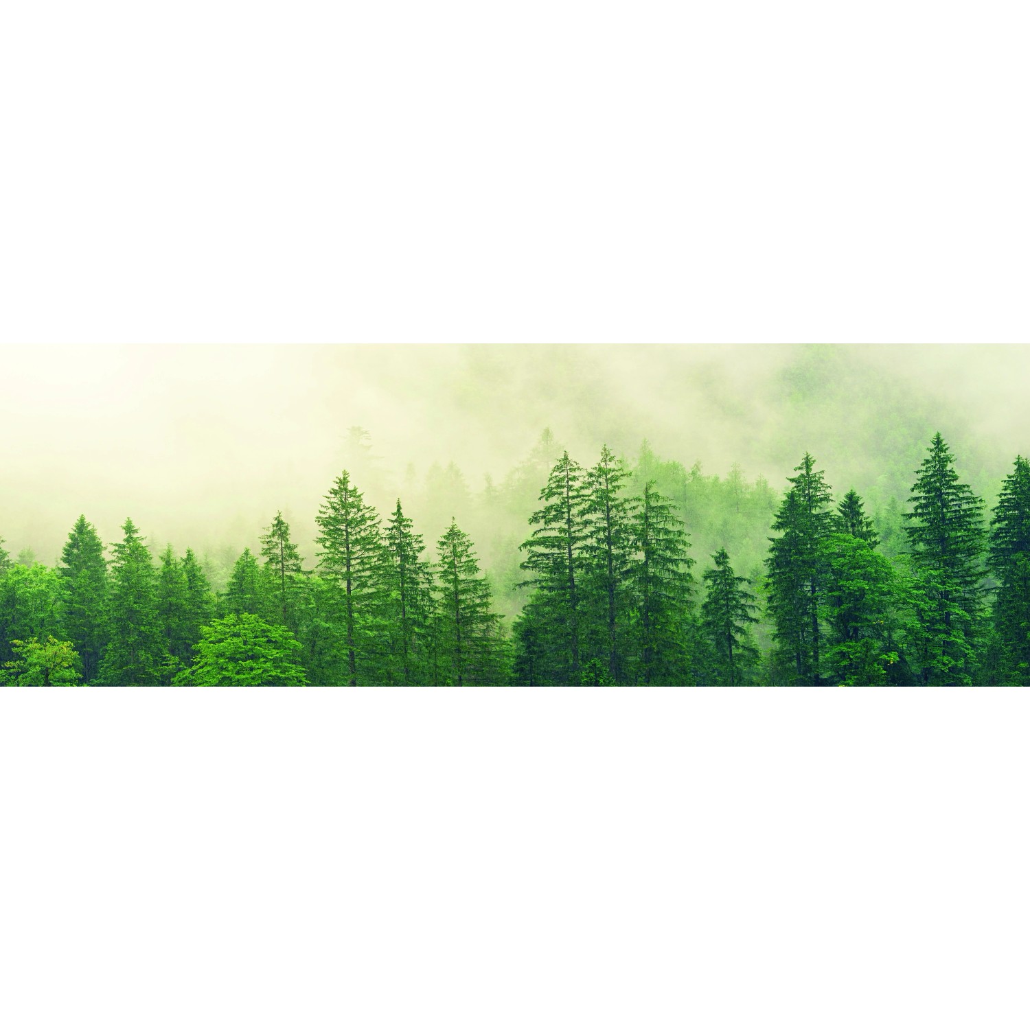 Bondecor Obraz, tištěné plátno Style 50 x 150 cm