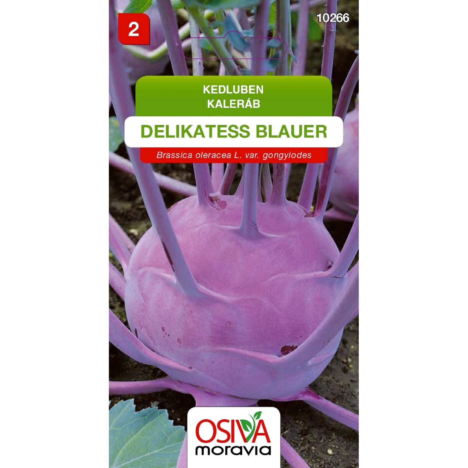 Osiva Moravia Kedluben Purple Viena