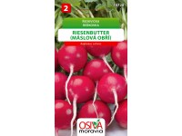 Semínka Ředkvička Riesenbutter-máslová obří (Raphanus sativus)
