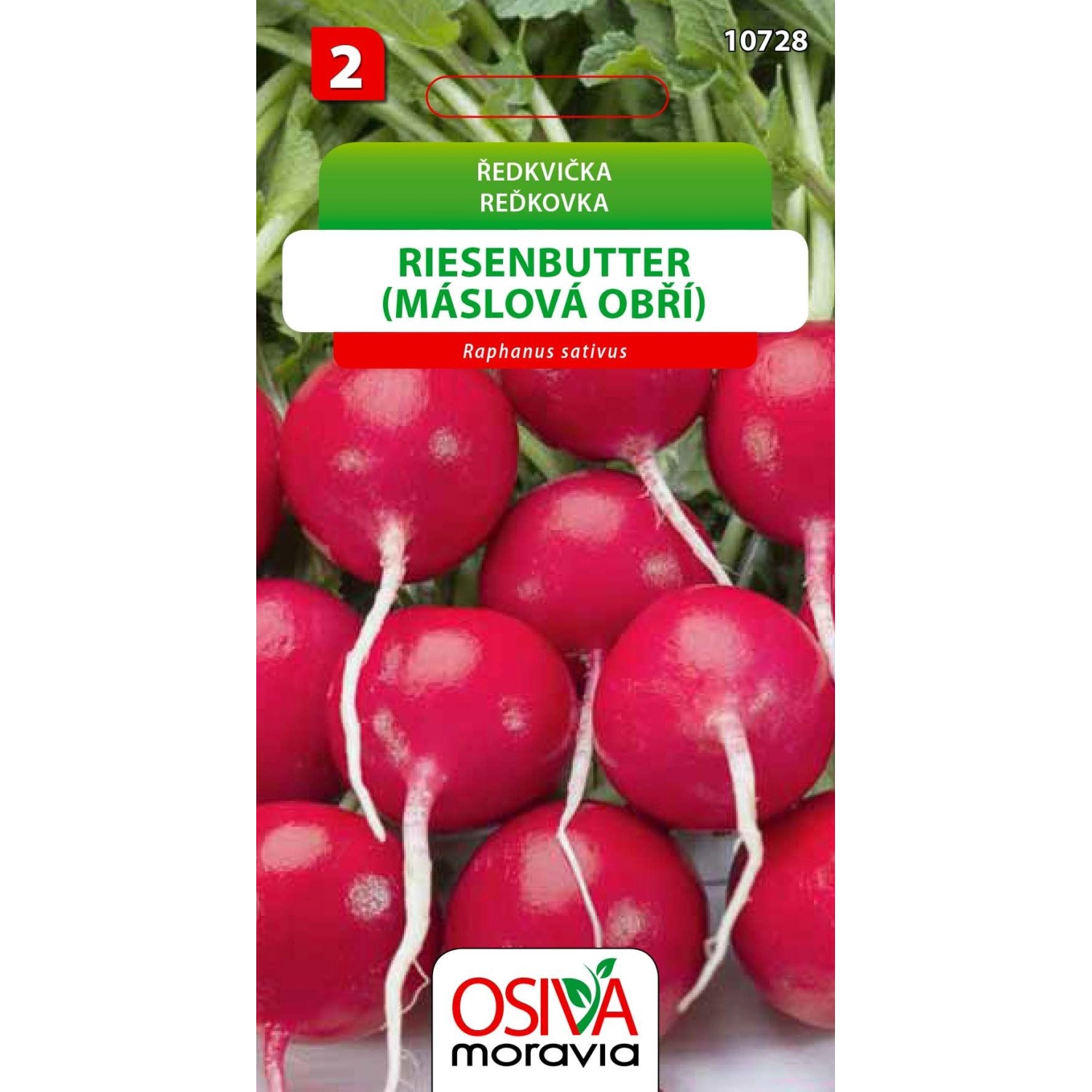 Semínka Ředkvička Riesenbutter-máslová obří (Raphanus sativus)
