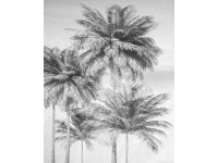 Komar Vliesová fototapeta Cocco 200 x 250 cm