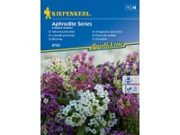 Kiepenkerl Tařicovka přímořská Aphrodite Series