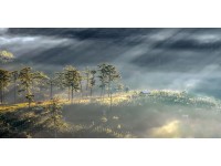 Bondecor Obraz, tištěné plátno Scenerie 50 x 100 cm