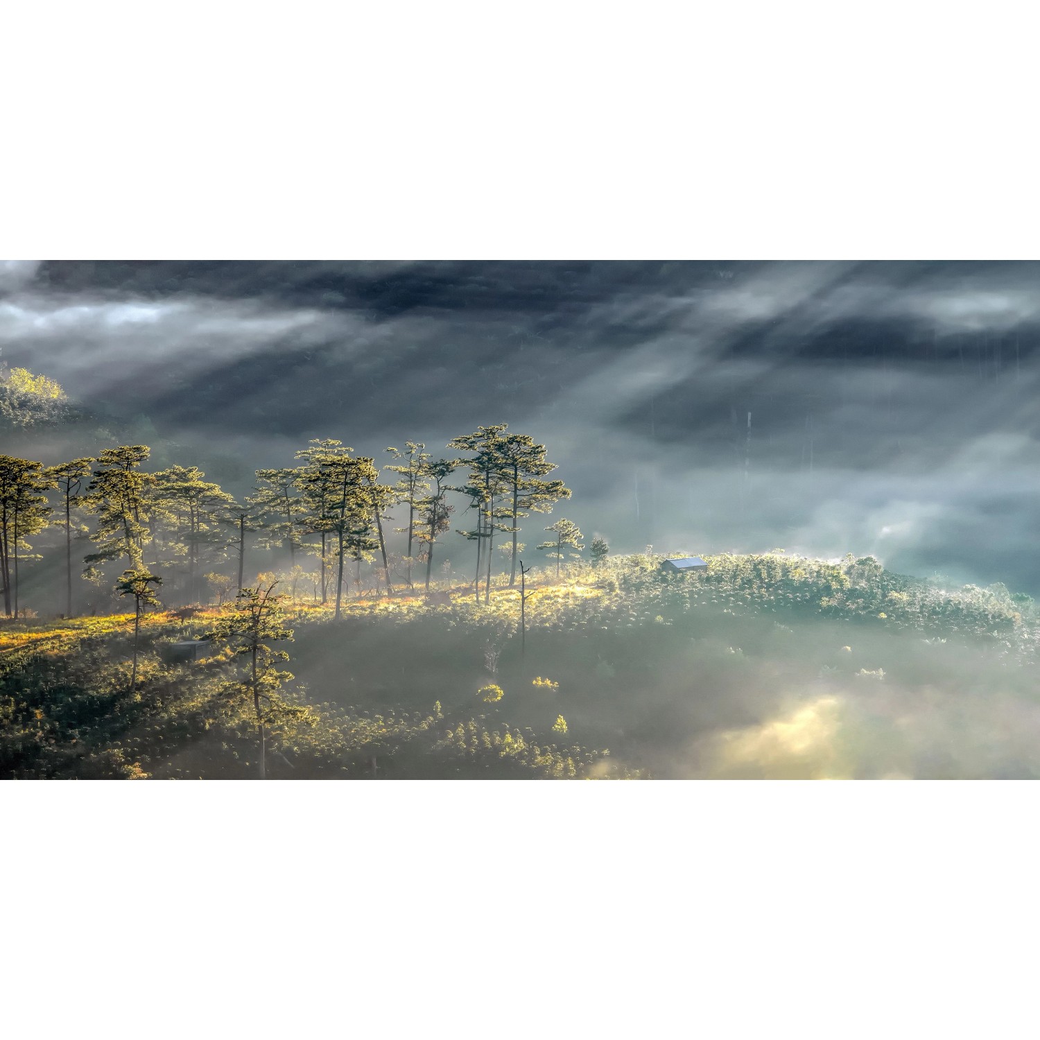 Bondecor Obraz, tištěné plátno Scenerie 50 x 100 cm