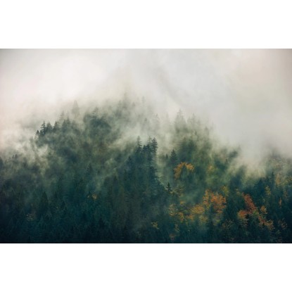 Komar Vliesová fototapeta Tales of the Carpathians, 300 x 200 cm