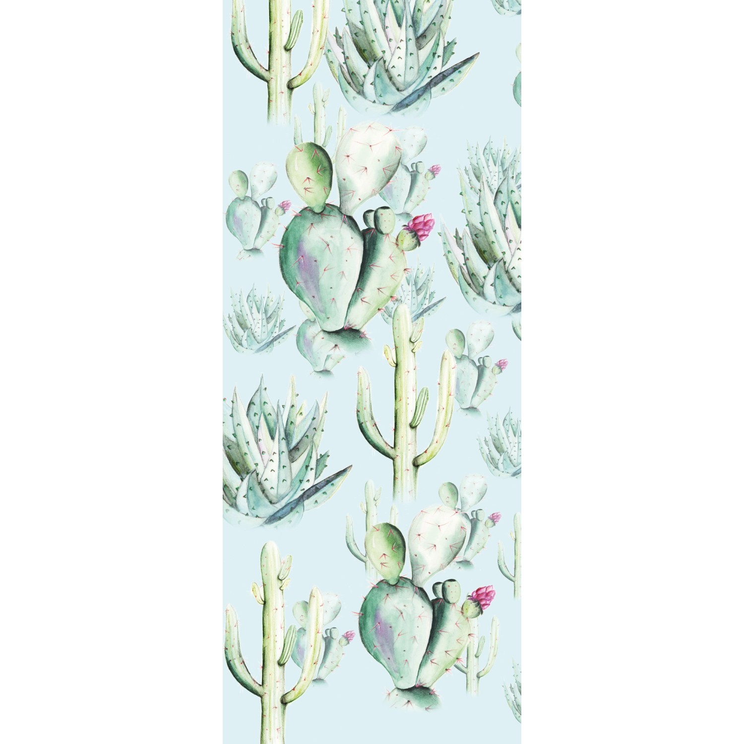 Komar Vliesová fototapeta Cactus Blue 100 x 250 cm