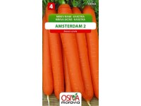 Semínka Mrkev raná karotka Amsterdam 2 (Daucus carota)