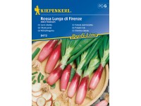 Kiepenkerl Jarní cibulka Rossa Lunga di Firenze