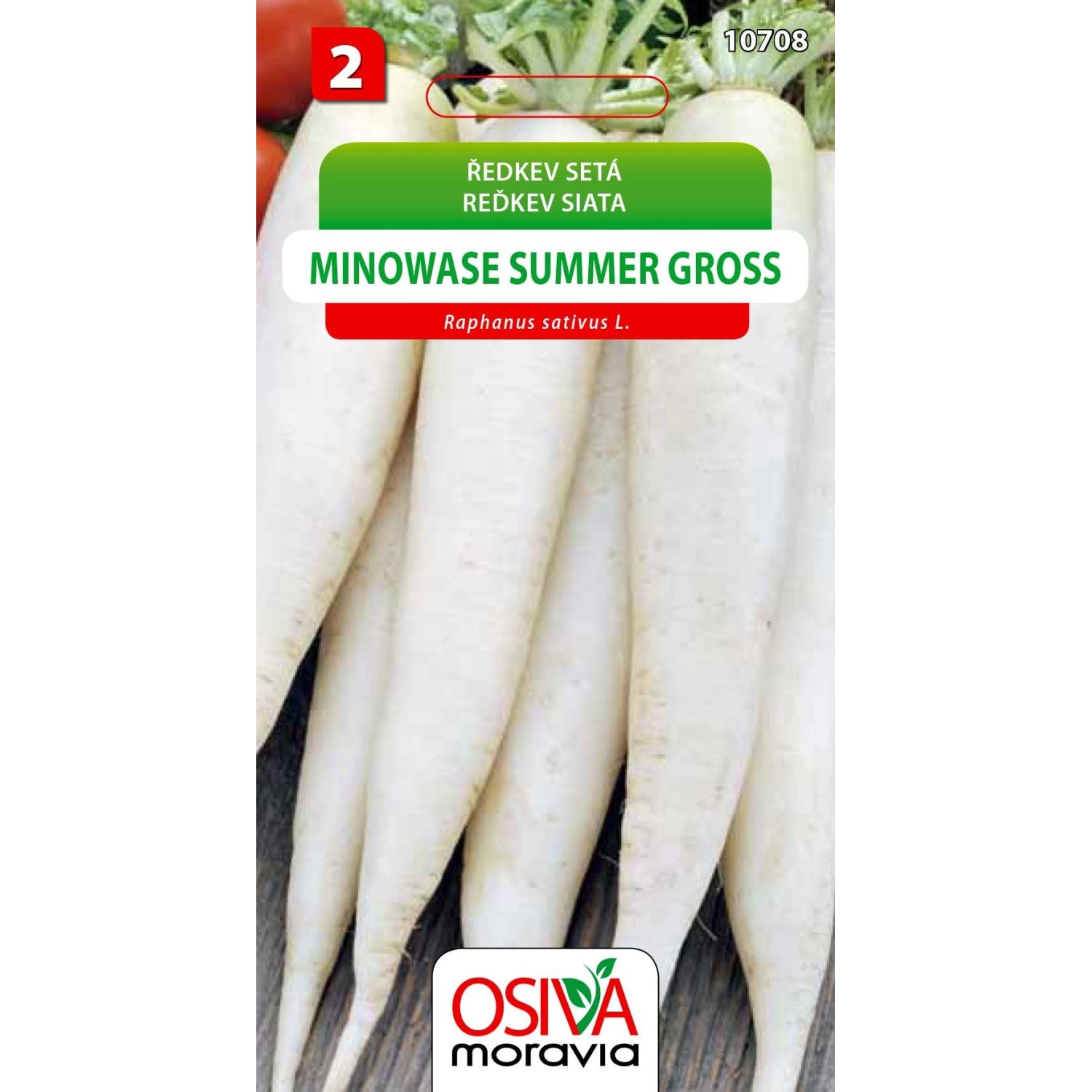 Semínka Ředkev setá Minowase Summer Gross (Raphanus sativus L.)