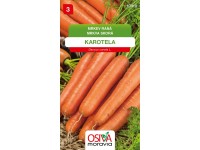 Semínka Mrkev raná Karotela (Daucus carota L.)