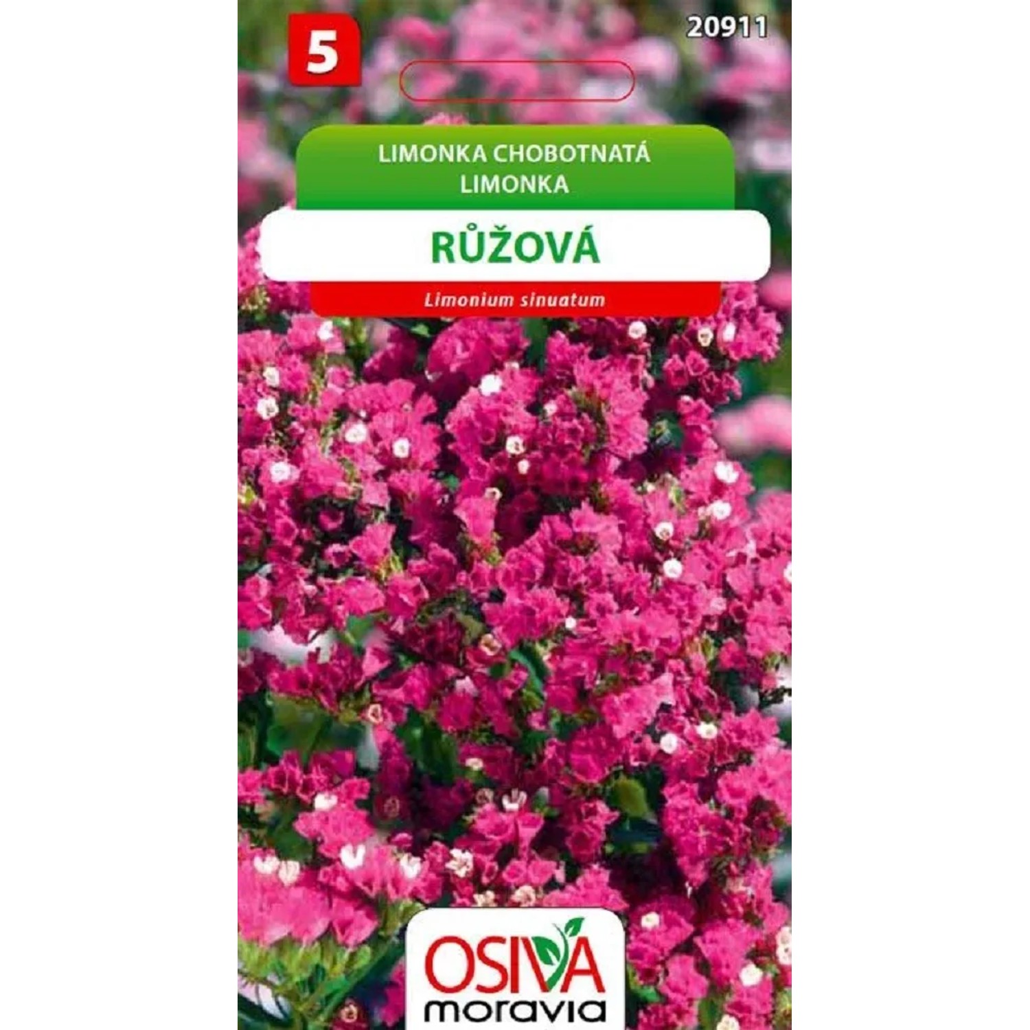 Semínka Limonka chobotnatá růžová (Limonium sinuatum)