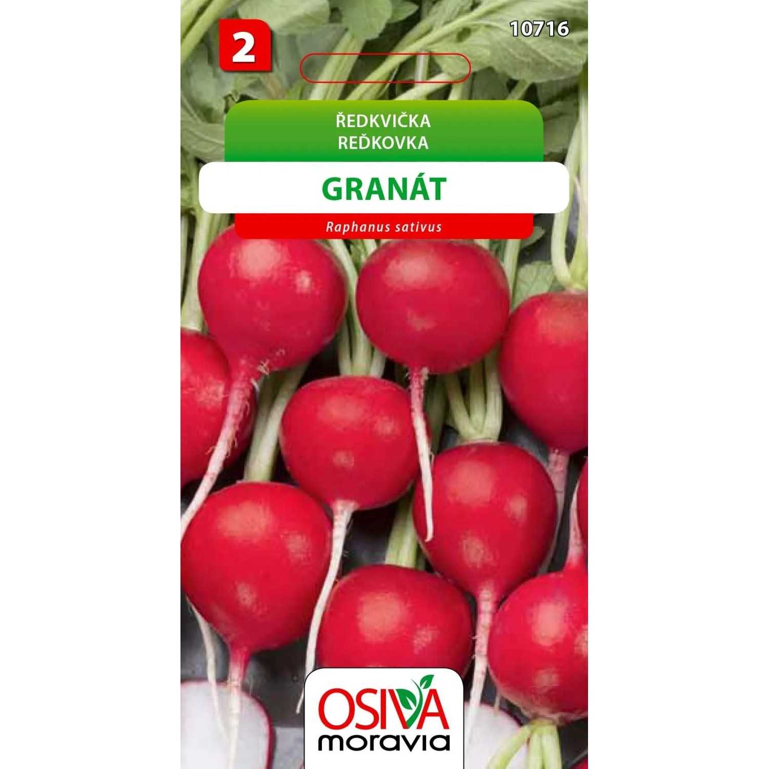 Semínka Ředkvička Granát (Raphanus sativus)