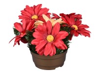 Nohel Garden Květina gerbera léto aranžmá v misce, mix, 25 cm