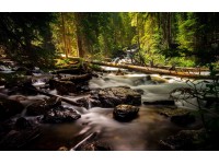 Bondecor Obraz, tištěné plátno Krajina 70 x 110 cm