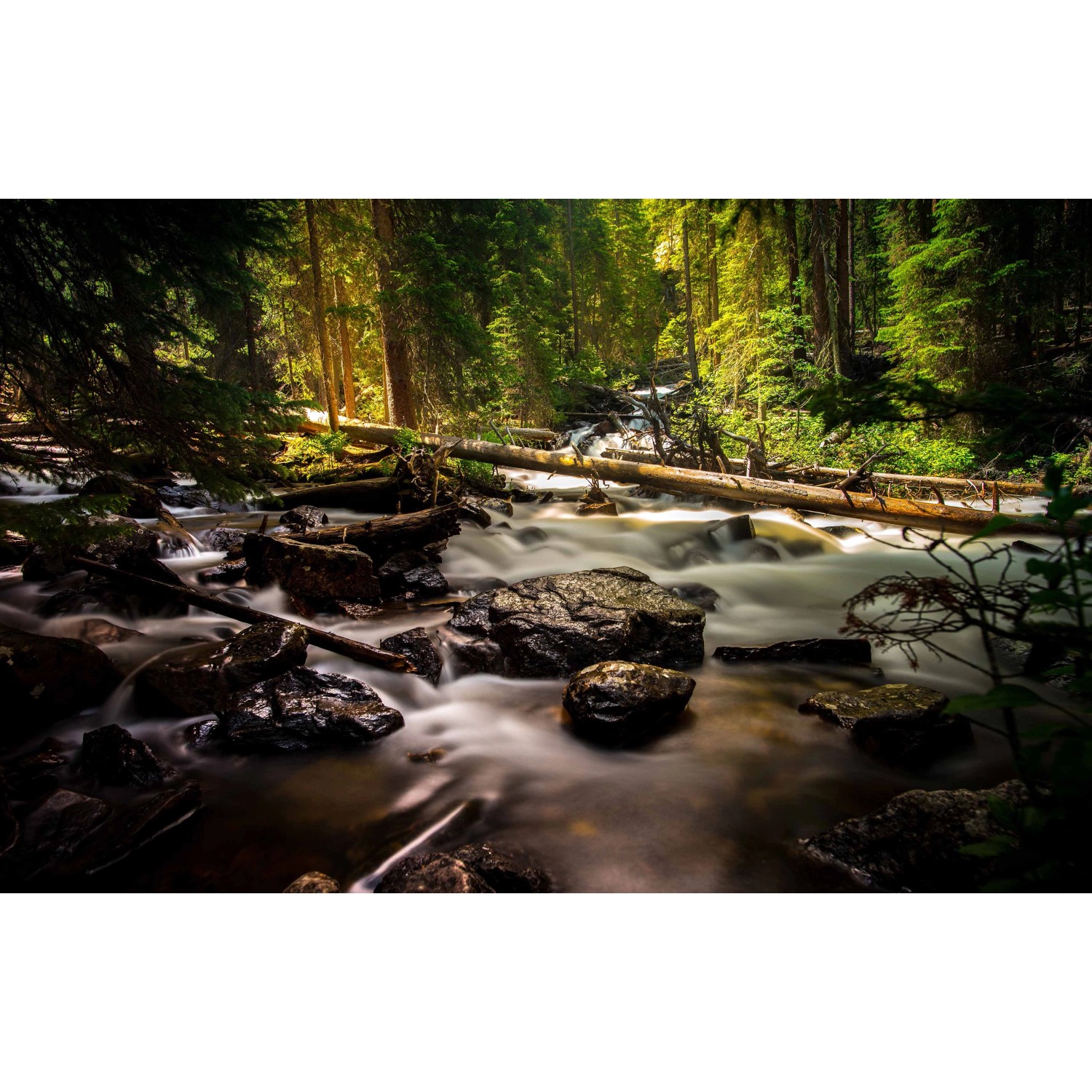 Bondecor Obraz, tištěné plátno Krajina 70 x 110 cm