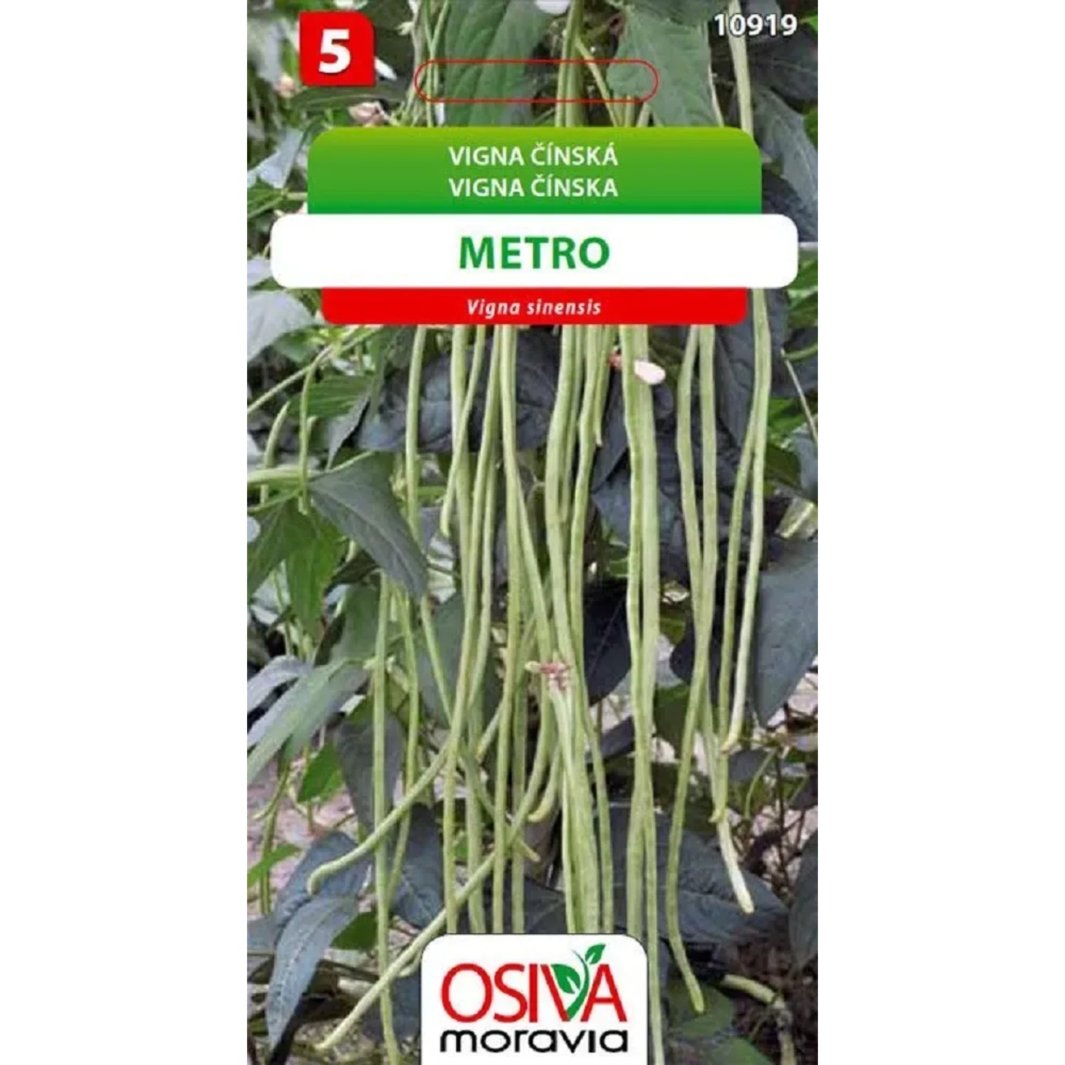 Semínka Vigna čínská Metro (Vigna sinensis)