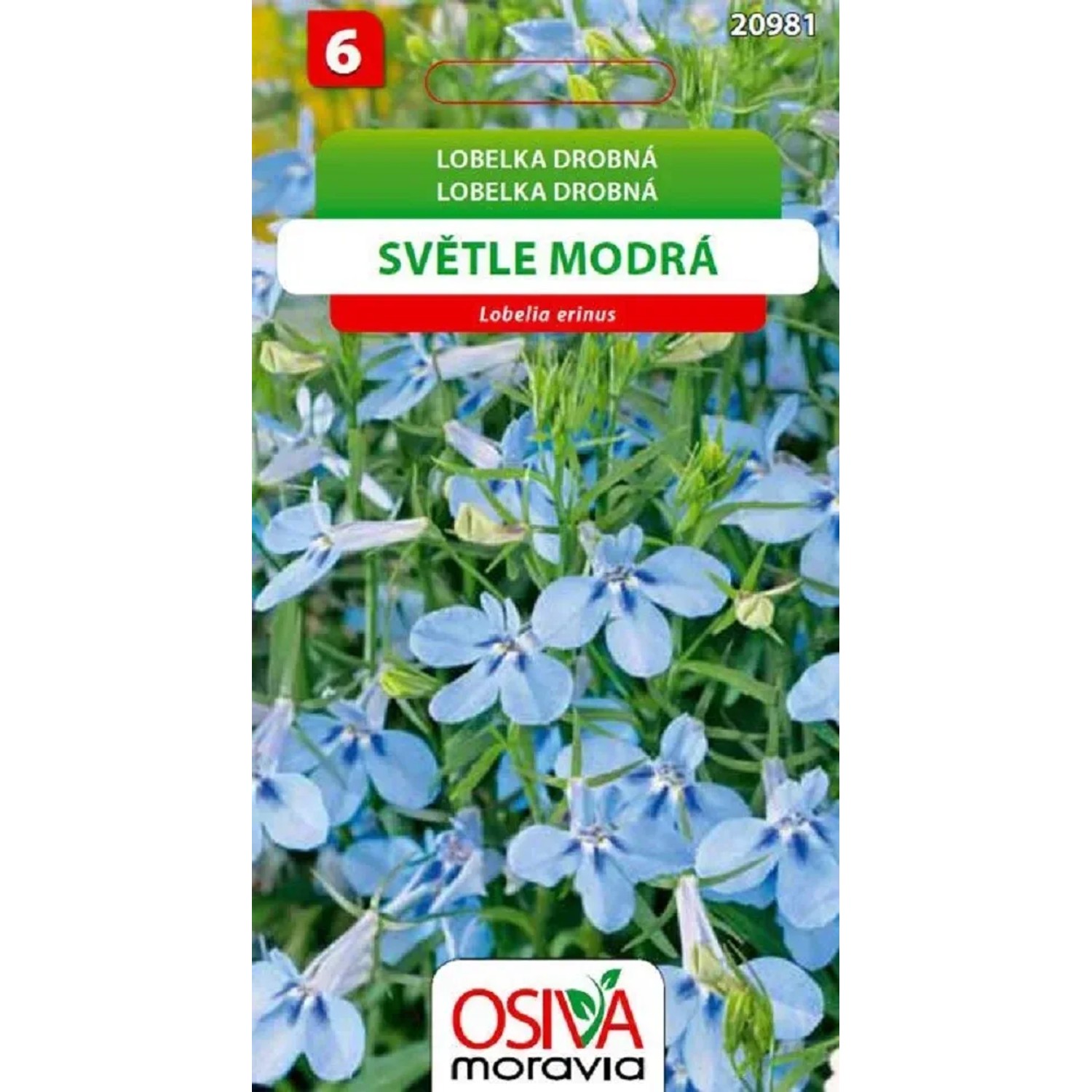 Semínka Lobelka drobná světle modrá (Lobelia erinus)