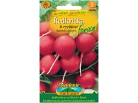 Gardenie Ředkvička Faraon k rychlení