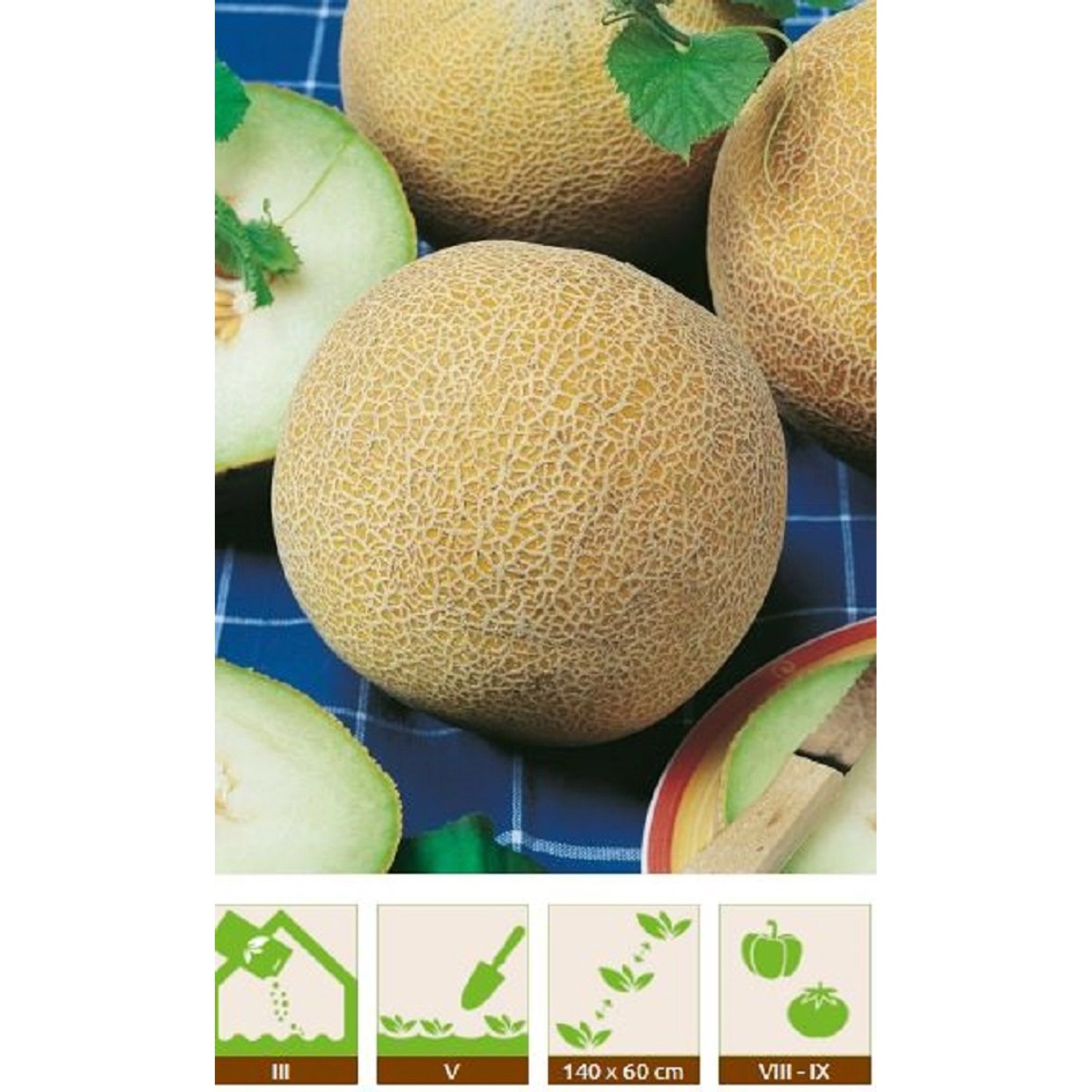 GardenSeed Premium Semínka Meloun Solartur 0,5 g