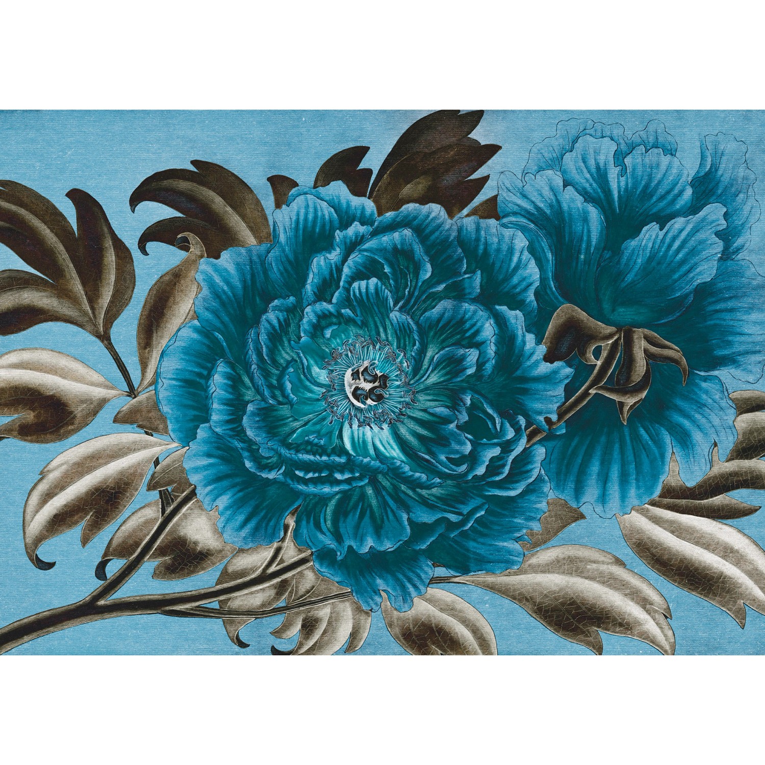 Komar Vliesová fototapeta Royal Peony 350 x 250 cm