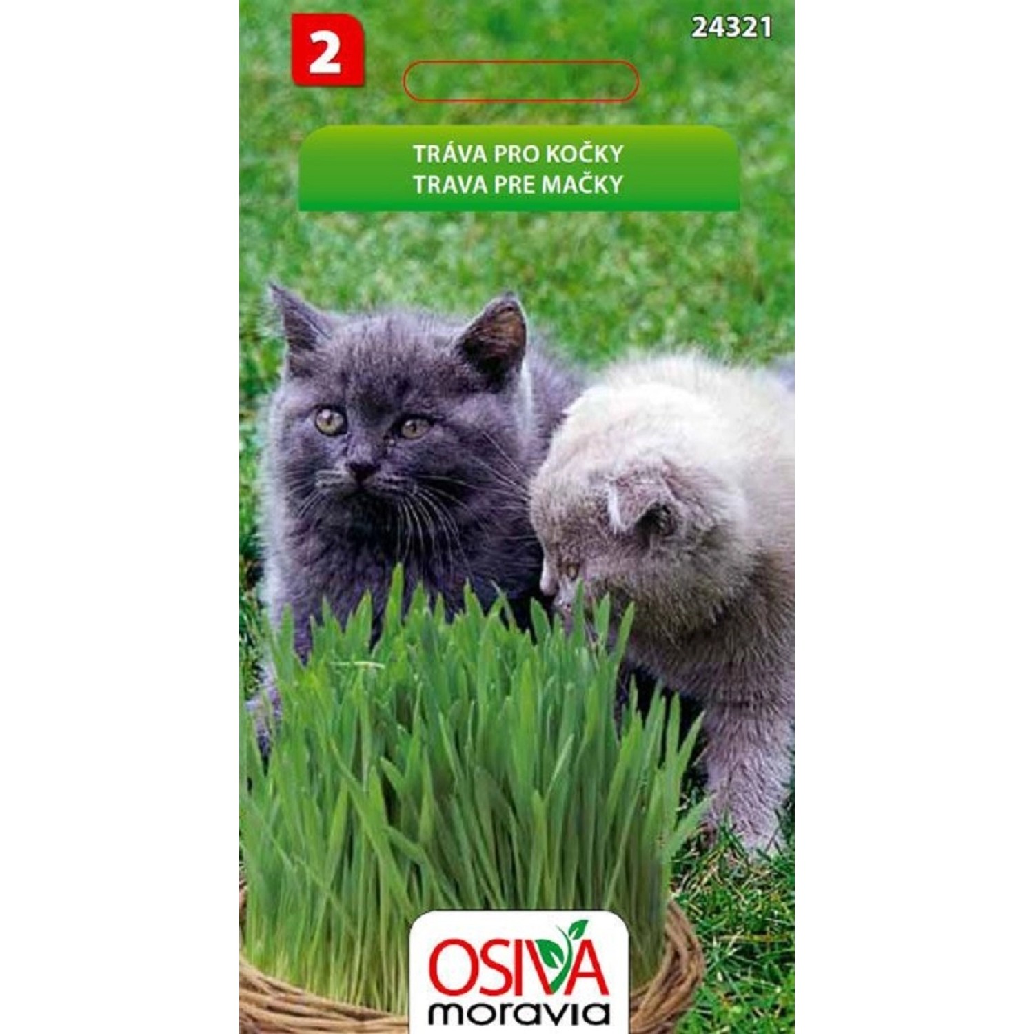 Semínka Tráva pro kočky