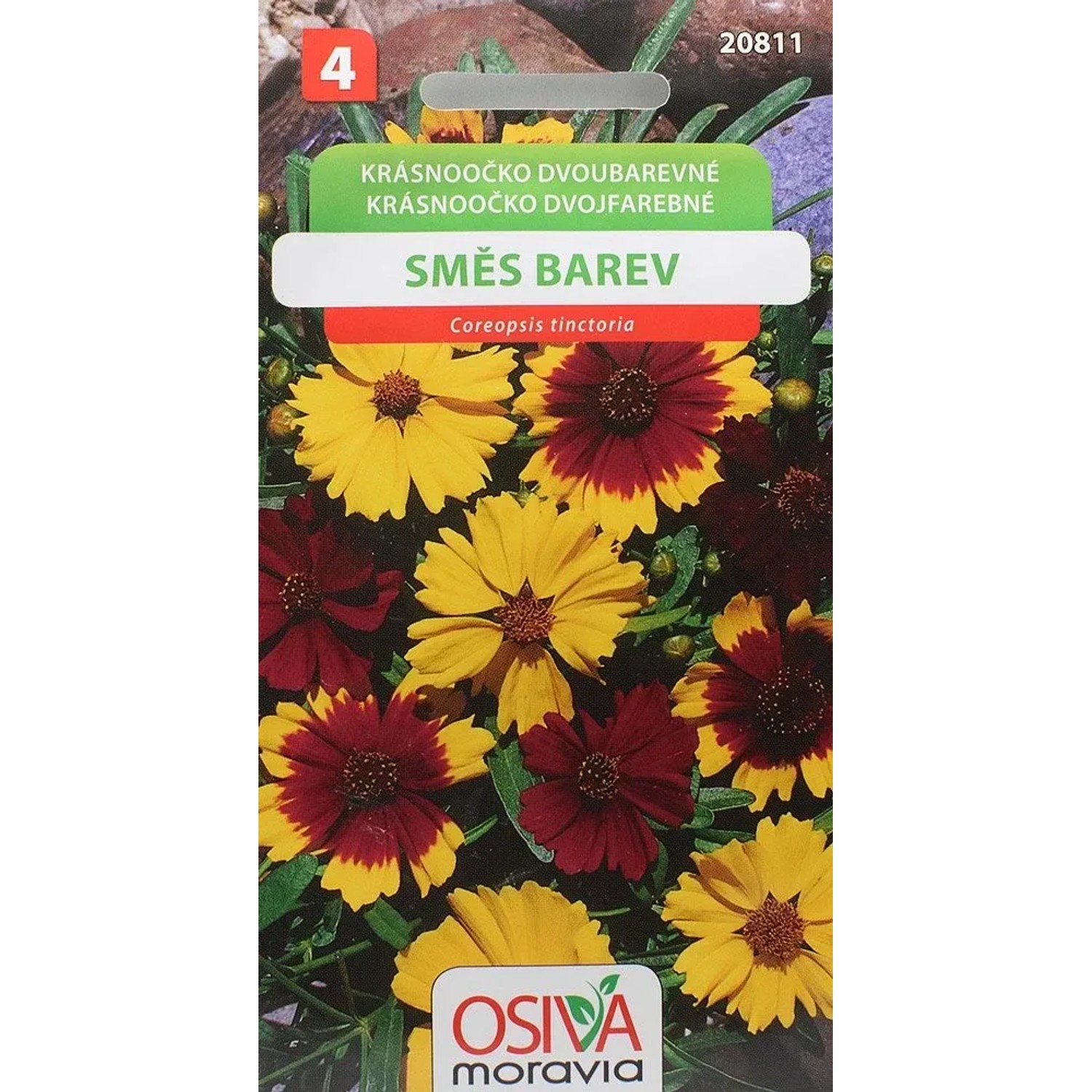 Semínka Krásnoočko dvojbarevné směs barev (Coreopsis tinctoria)
